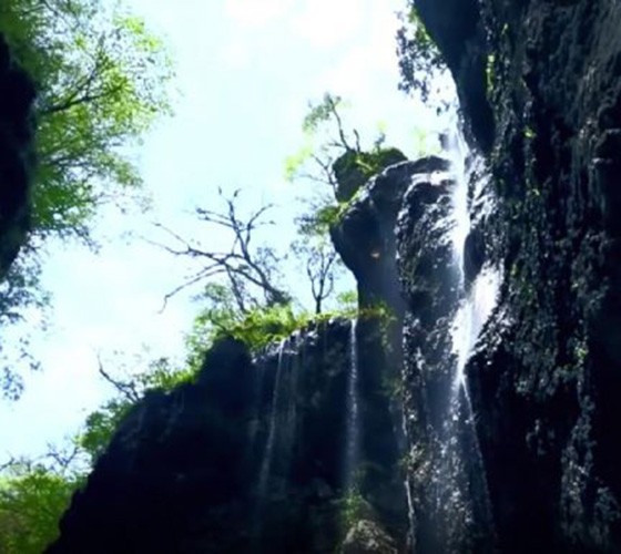 青山綠水，白龍江畔江畔息白鷺，兩岸綠橄欖入眼的都是純樸自然枝上花開(kāi)，春來(lái)水暖魚(yú)蝦戲水，鳥(niǎo)語(yǔ)花香心中充滿(mǎn)著舒暢之感祥宇生態(tài)產(chǎn)業(yè)園，位于隴南市武..